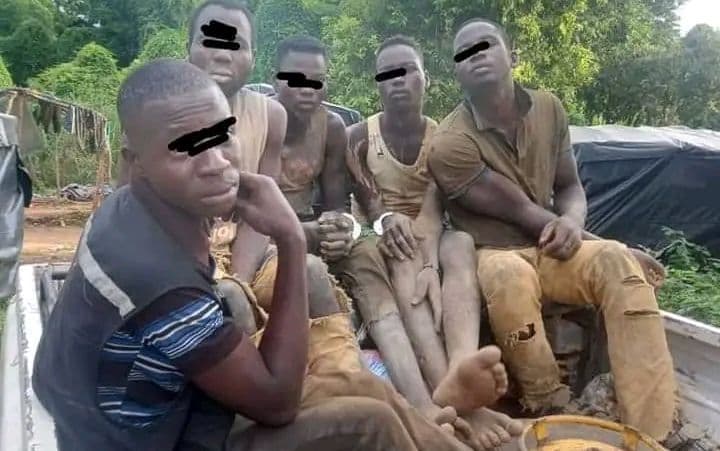 Côte d'Ivoire : 24 mois de prison pour 6 orpailleurs appréhendés dans la forêt classée de Loho