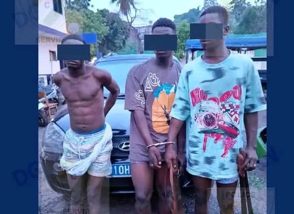 Côte d'Ivoire : Adjamé, 03 cambrioleurs armés de machettes interpellés au quartier Saint Michel