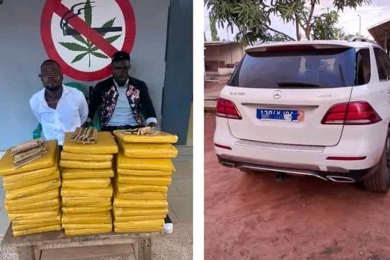 Côte d'Ivoire : Gagnoa, deux individus interpellés et une importante quantité de cannabis saisie