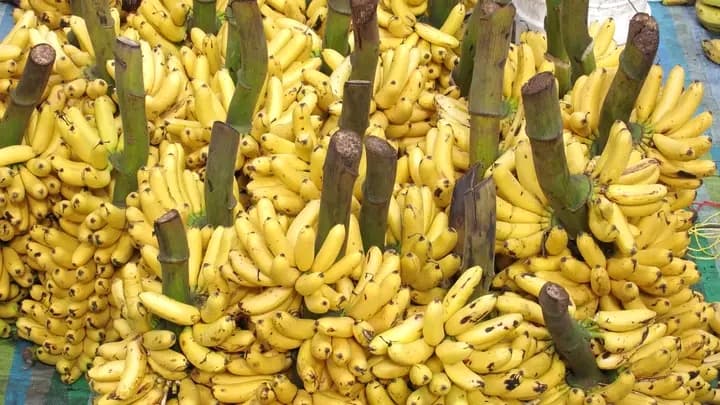 Côte d'Ivoire : Abidjan abritera le 1er colloque International des Sciences et Technologies des Aliments