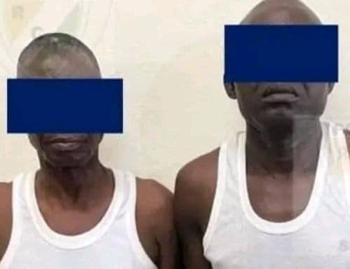 Côte d'Ivoire : Un faux agent immobilier et un faux bailleur mis aux arrêts