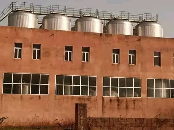 Burkina Faso : Le gouvernement ressuscite Brafaso