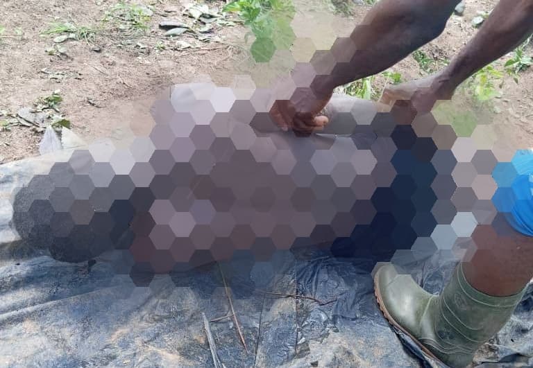Côte d'Ivoire : Bangolo, une rivière emporte un tradi-praticien
