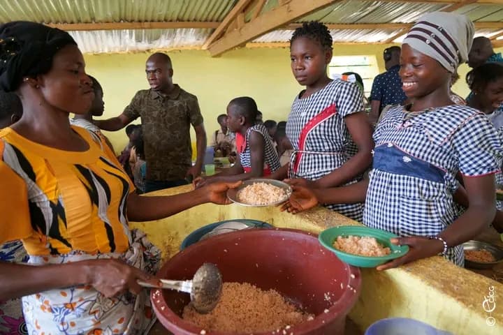 Côte d'Ivoire : Daloa, 176 écoles primaires publiques dotées de cantines scolaires sur 737