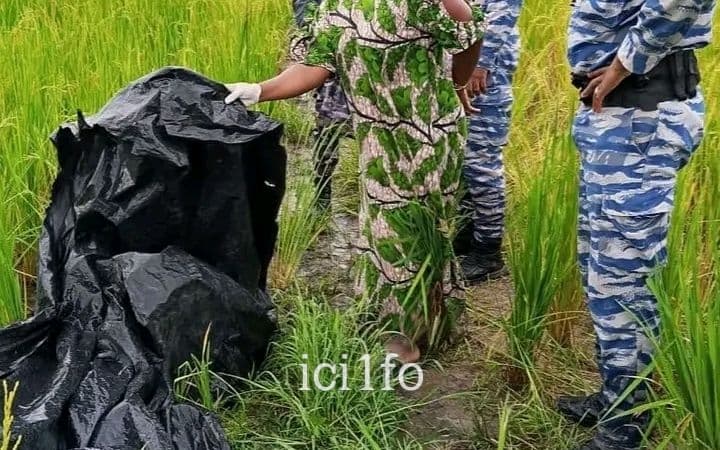 Côte d'Ivoire : Une jeune femme de 24 ans tuée dans une rizière à Zakroguhé