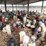 Côte d’Ivoire : Le gouvernement poursuit ses efforts dans la sécurité alimentaire 