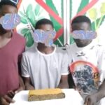 Côte d’Ivoire : Divo, trois vendeurs de drogue appréhendés par la CAD