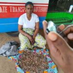 Nigéria : Une femme en possession de munitions destinées aux terroristes mise aux arrêts 