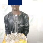 Côte d’Ivoire : Daloa, interpellation d’un individu et saisie de drogue 