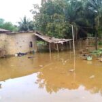 Côte d’Ivoire : Alépé, plusieurs maisons inondées 