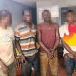 Côte d&rsquo;Ivoire : Quatre individus pris en flagrant délit de défrichement mis aux arrêts 