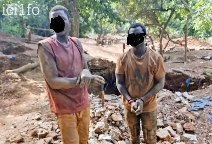 Côte d’Ivoire : 2 orpailleurs clandestins mis aux arrêts dans la forêt classée de Kinkéné