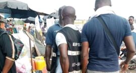 4983deea27c41204a72a4f3d1d323010