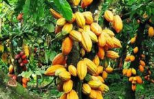 FB_IMG_1654156317706~2