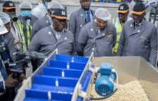 FB_IMG_1657356414062