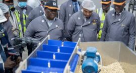 FB_IMG_1657356414062