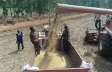 FB_IMG_1670157943355