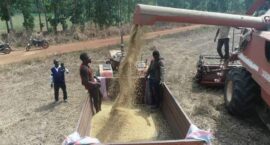 FB_IMG_1670157943355