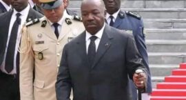 FB_IMG_1672083622167~2