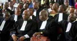 FB_IMG_1672328368765