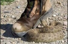 FB_IMG_1690563685346