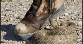 FB_IMG_1690563685346