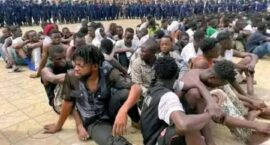 FB_IMG_1736324090986