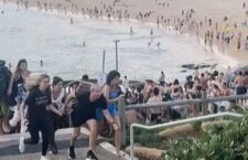 FB_IMG_1765784529743~2