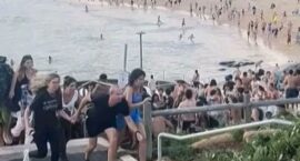 FB_IMG_1765784529743~2