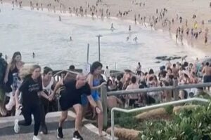 FB_IMG_1765784529743~2