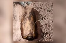 InCollage_20240223_133602446