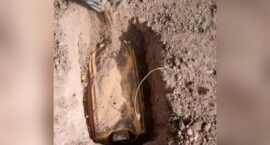 InCollage_20240223_133602446