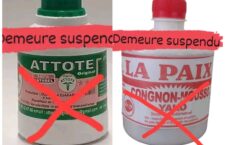 InCollage_20240503_175513412~2