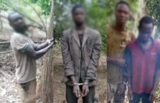 Point Blur_Aug212025_231618