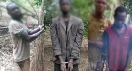 Point Blur_Aug212025_231618