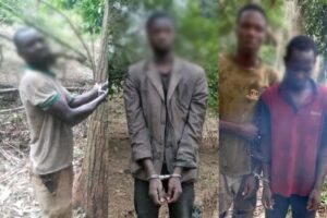 Point Blur_Aug212025_231618