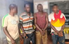 Point Blur_Jan212026_061632