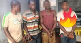 Point Blur_Jan212026_061632