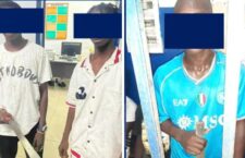 Screenshot_20241127-152319