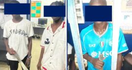 Screenshot_20241127-152319