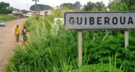 Screenshot_20251127-205417