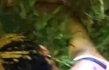 operanews1729704473473~2