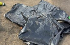 operanews1734185381878~2